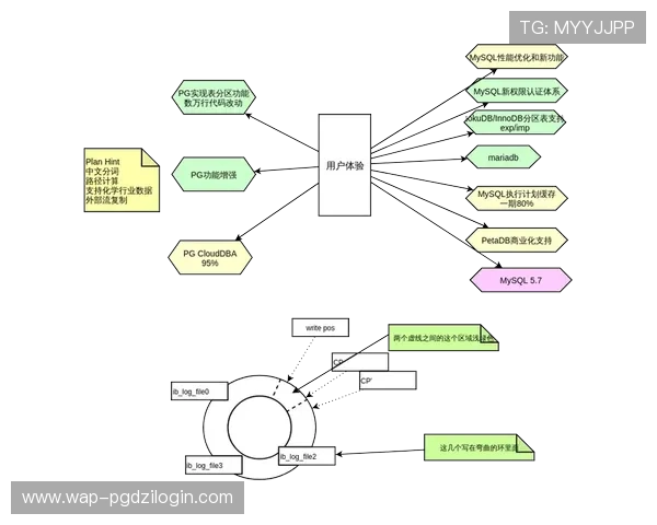 PG娱乐注册平台全面升级优化服务体系提升用户体验实现多渠道安全保障